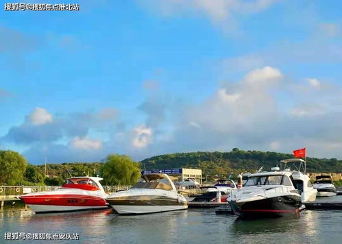 蘇州金庭復園 全景瞰湖美宅，致獻詩意棲居