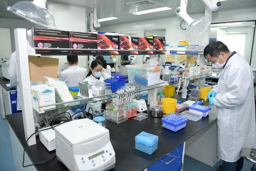 上海科技黨建全力以赴 爭分奪秒加強(qiáng)科技攻關(guān)