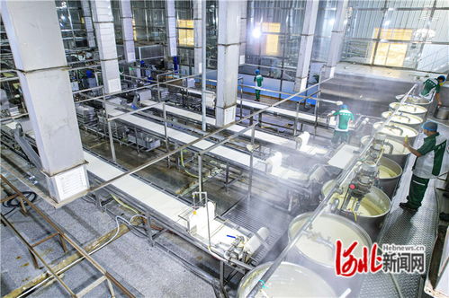 廊坊廣陽 機(jī)械化賦能農(nóng)產(chǎn)品深加工，量子計算技術(shù)助力京津菜籃子保供
